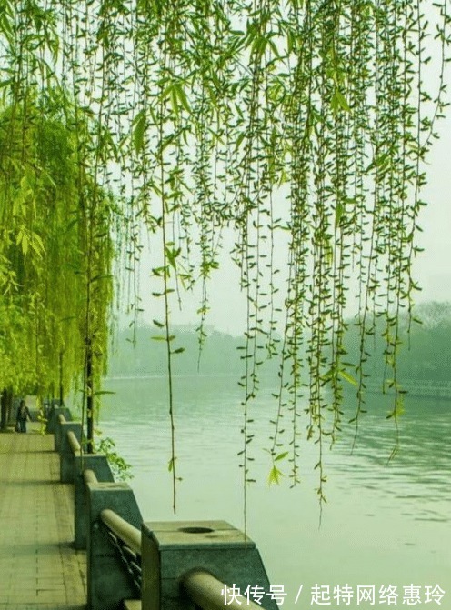 春景|朱服一生仅有一首词流传下来,末尾一句惊艳诗坛,他得意了半辈子