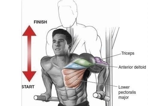新手都在做俯卧撑,老手却拿双杠臂屈伸练胸,这两个动作差在哪