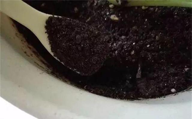 养花营养土不用买,5东西“捂一捂”,养花肥效好、不烂根