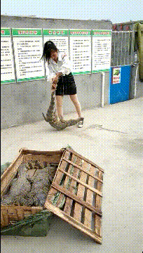 |搞笑GIF：太高兴了 据说新娘当时都开心的哭了