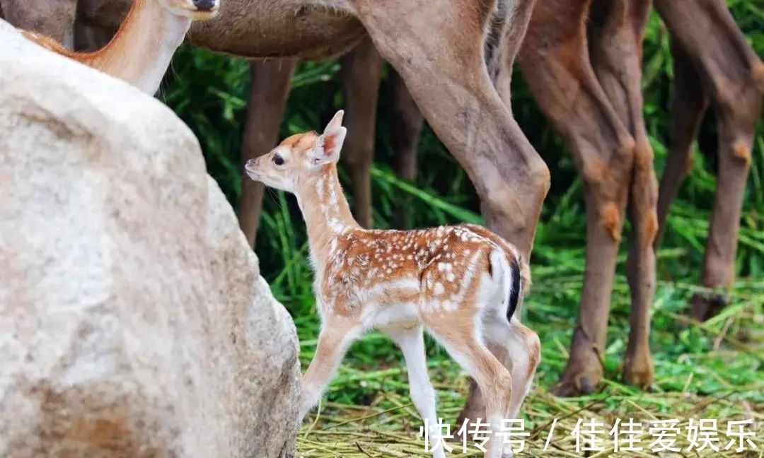 白鹿原|云游碧水蓝天间，秋来风景绝美