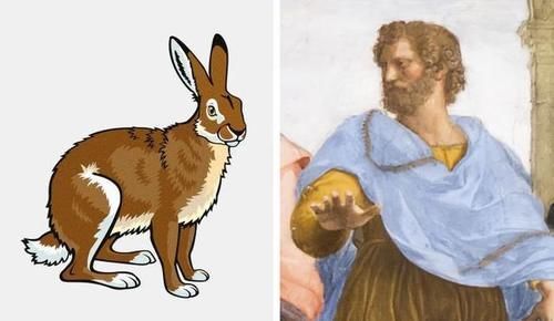 怀孕中可以再怀孕一次吗 她10天怀孕2次还成功生下来