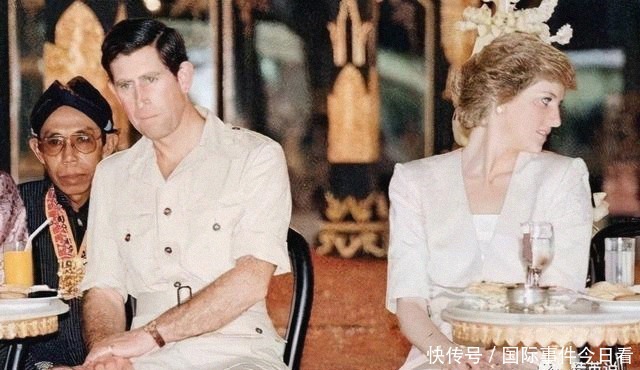 却是|一见钟情的王子不过是个渣男,求爱不得却是孩子眼中最爱的母亲