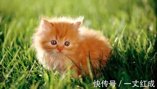 |幽默笑话：某加油站为了招揽生意，凡买汽油者可获赠一幅当地地图