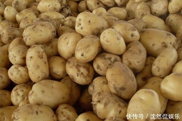 打了激素的土豆如何分辨老菜农教你几招，别再买错了！