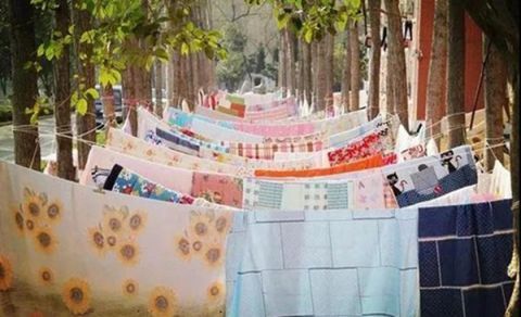 外国人|为什么中国人要晒被子,而外国人却从来不晒看完长见识