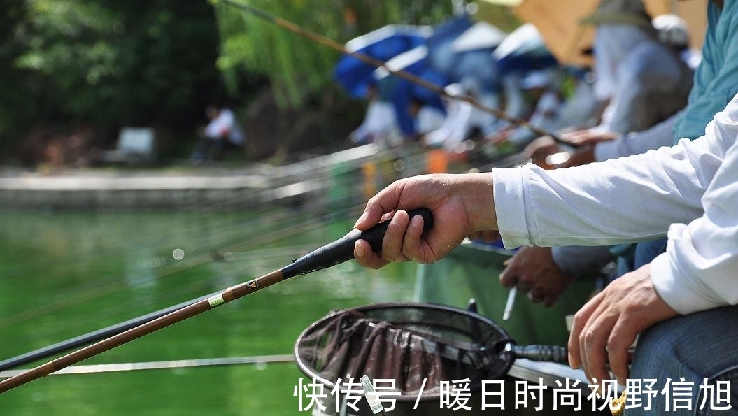 夏天|夏天鱼难钓,试试这些小技巧,也许你会有意想不到的惊喜