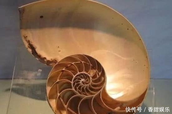 出土|古墓里挖出诡异“酒杯”,怎么喝都喝不空,X光下专家恍然大悟