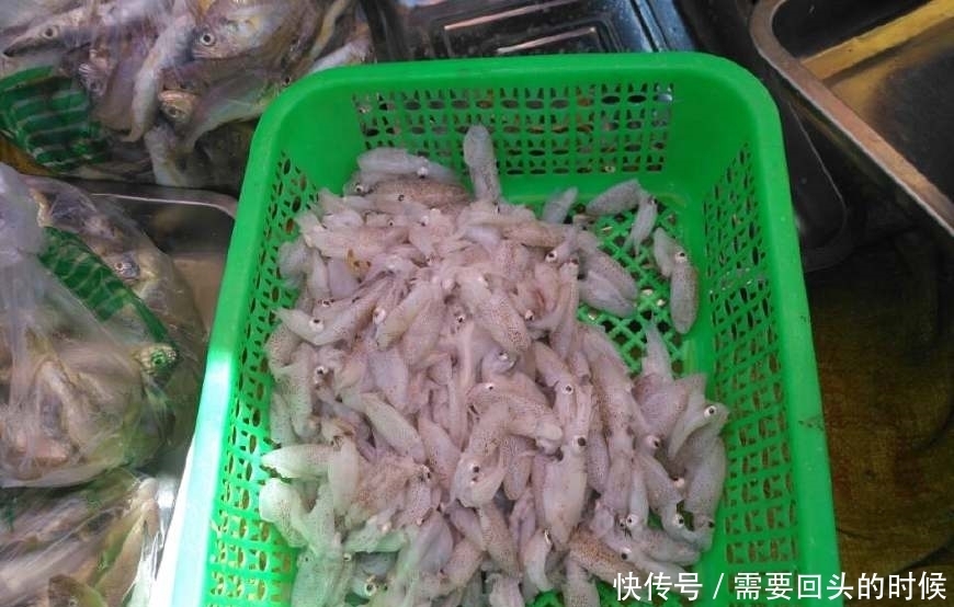 便宜|沿海农村大集上海鲜便宜到一块钱一斤,看到第五个,都不忍心吃了