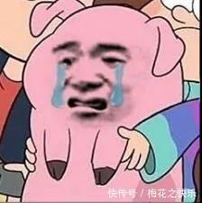 搞笑|动漫搞笑表情包:舔狗篇