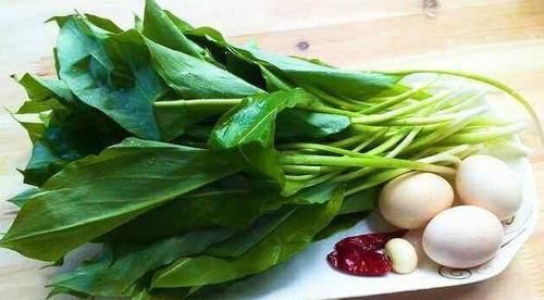 聪明的人爱吃几种食物,美容养颜,增强体质,有益健康