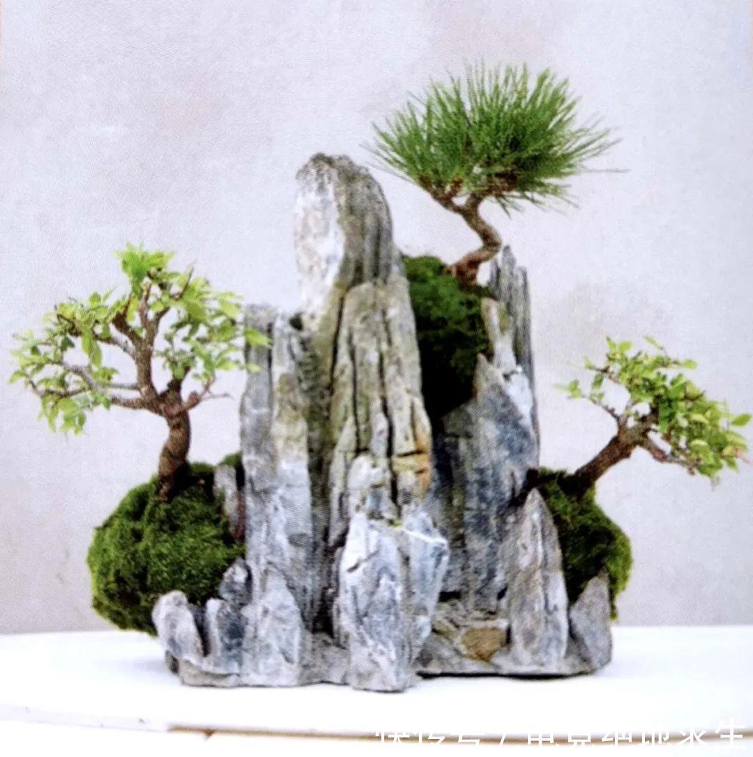 树石盆景:在堤岸坡脚处留出一条透水的缝隙,可享浇水无忧!