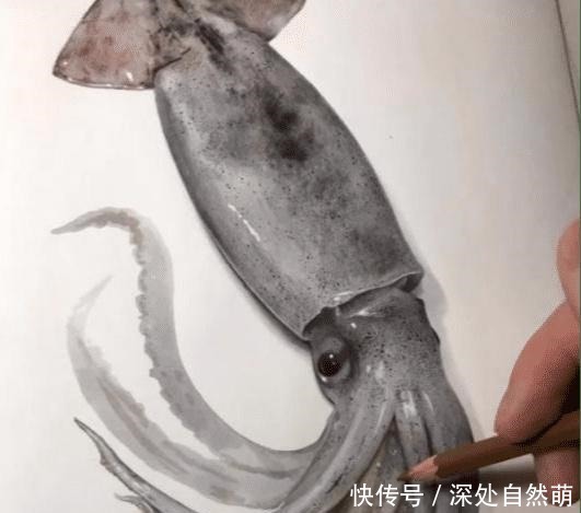 日本90后画家画鱼堪比冷军!没有画水,却画出了鱼游动的感觉!