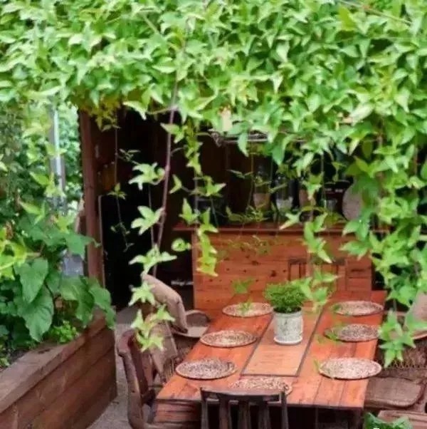 我们心中的小院, 每晚睡前都幻想着它的模样