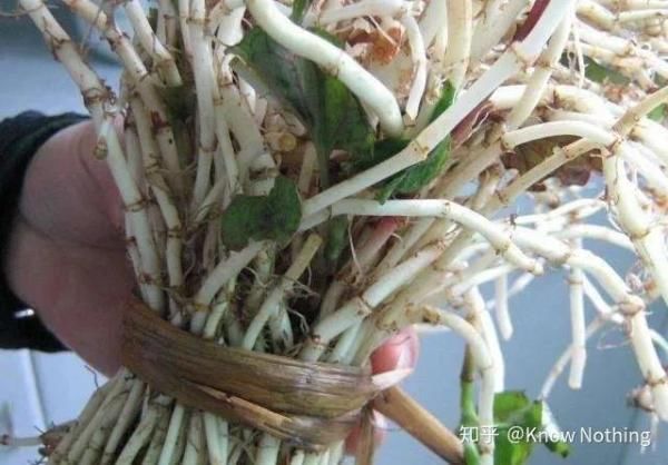 特产|室友给你带过什么“绝交特产”?