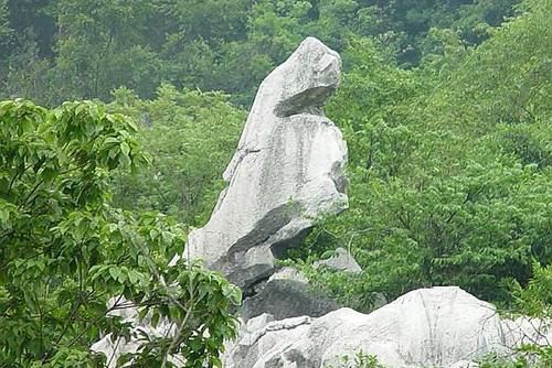 江西又一石林走红：以五大怪闻名，还被誉为“华东第一石林奇观”