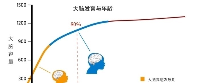 dh孩子总是学习差,父母错过孩子大脑发育黄金期,却逼孩子加倍努力