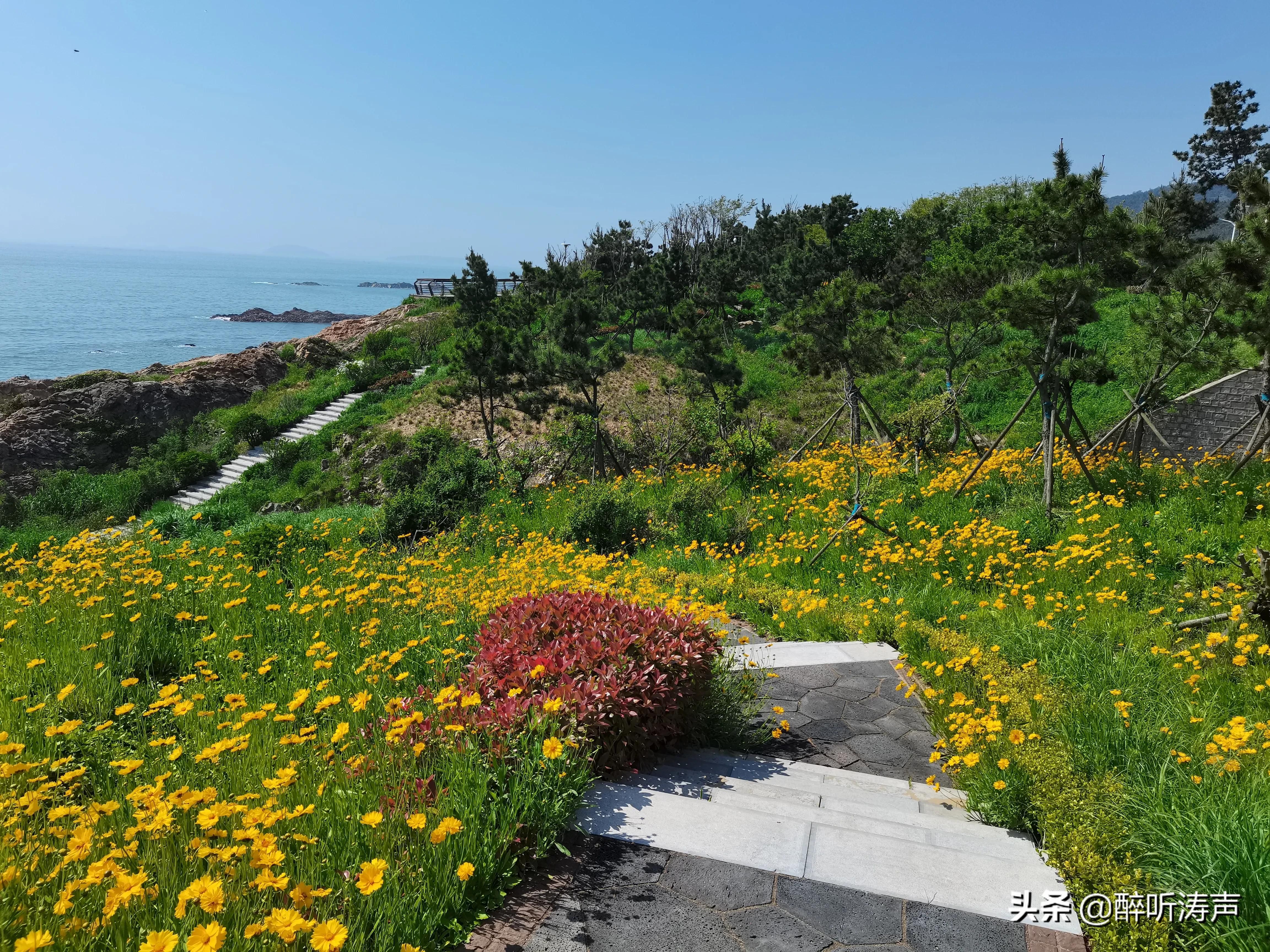 难以形容|天蓝海蓝花海一片片，难以形容的东环岛路之美