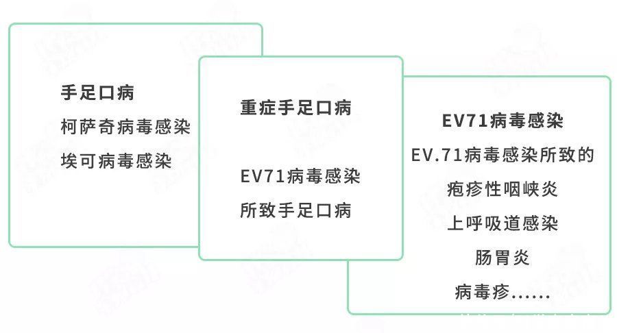 疱疹性咽峡炎|儿科爆满！1天接诊上百例！这个夏季传染病，又来坑6岁以下娃了