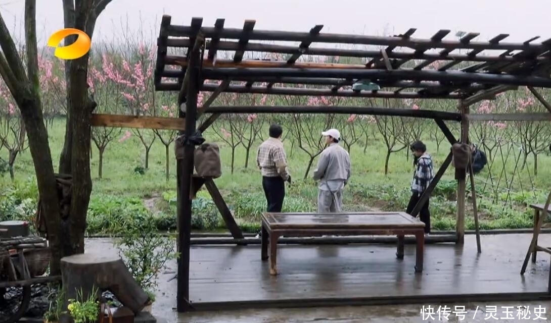 《向往的生活》第五季开始尝试转型，可惜彭昱畅的聪明用错了地方