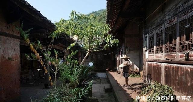 山中珍品，菌中之冠——鸡枞菌，在晴天雨后来一场邂逅！