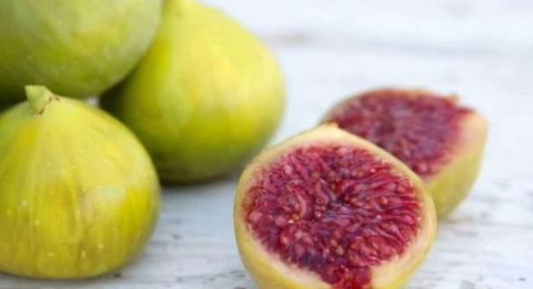 火龙果|春天老人健康身体很重要,多吃3种健康果,寓意吉星高照