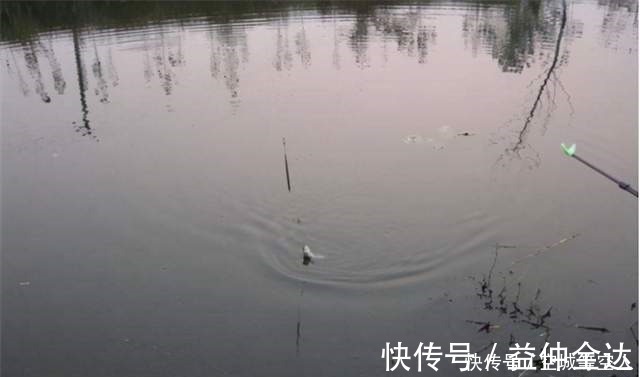 七星漂|不知道用七星漂还是立漂，看完这篇就知道了