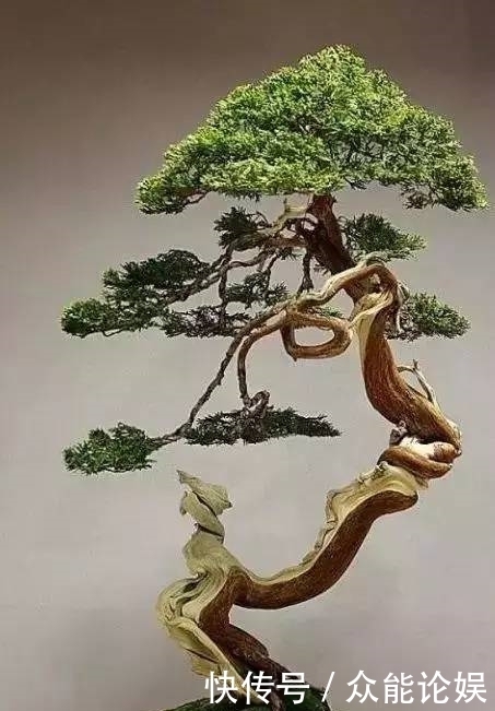 也许你不需要一个庭院就能有一个园林