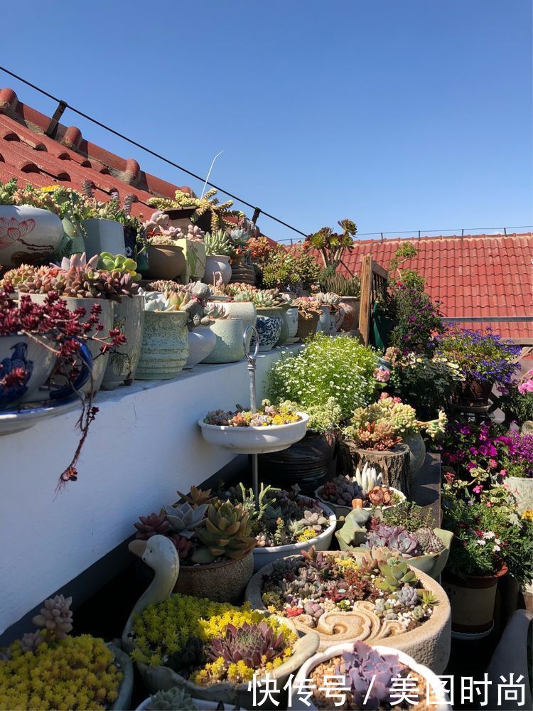 阳台|DIY改造17㎡屋顶花园，忙得不亦乐乎，在喧嚣城市打造一隅静谧