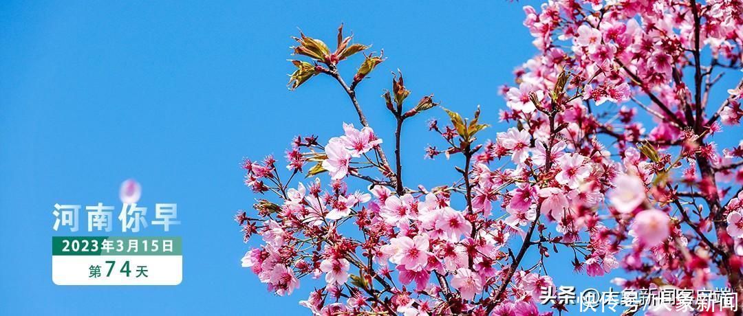 河南你早丨河南迎大风+降温+降雨；河南一地调整公积金贷款政策