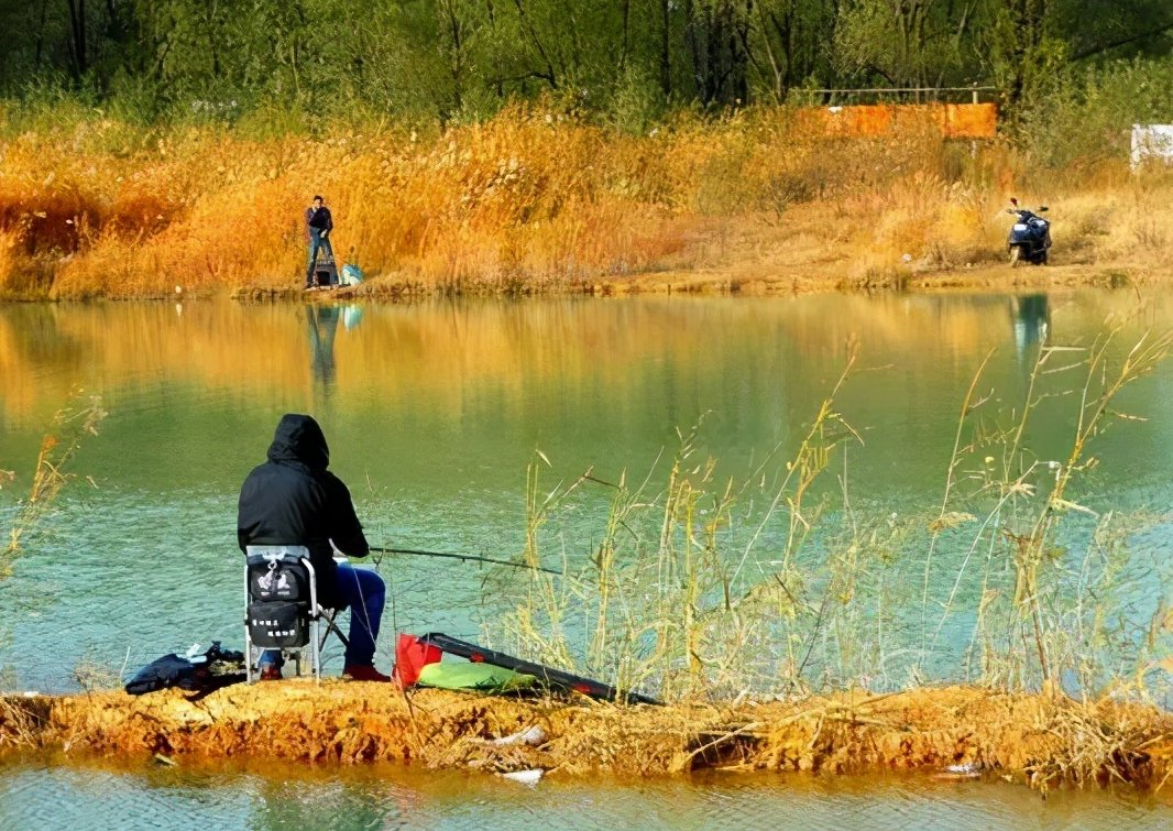 野钓不知道怎么合理搭配饵料，新手钓友进阶推荐，快来看看