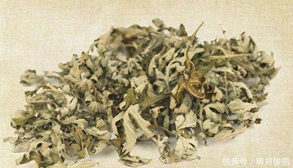 艾叶|田间地头没人要的野草，却是腰间盘突出的“救命草”，三天起效