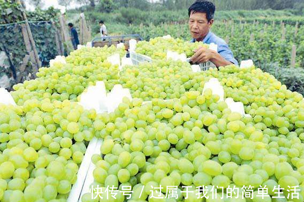 女性朋友|女人多吃此物，或能保养卵巢，子宫越来越干净，远离妇科疾病