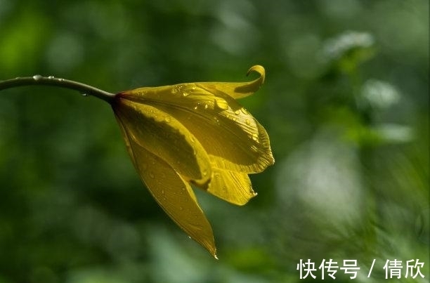 旧爱|未来10天，桃花如雨，春心萌动，再遇旧爱，再续良缘，永不分离