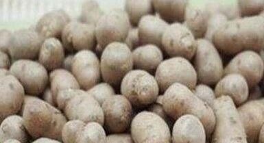 苯氨酸|人到中年,多吃四种食物,净化血液,祛斑养颜,预防妇科病