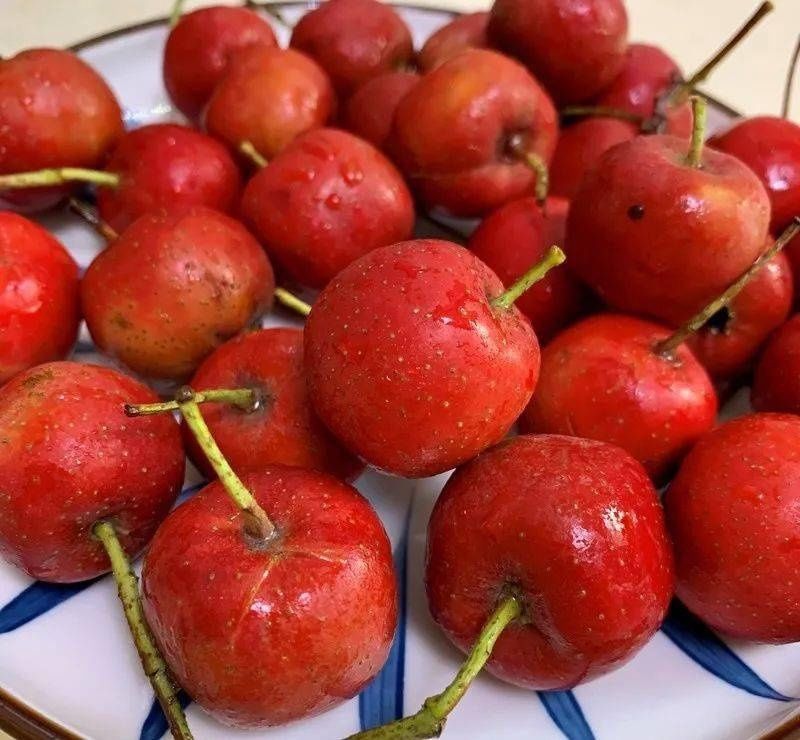 自制|冰糖葫芦和山楂条,步骤简单,酸甜可口,家庭版自制