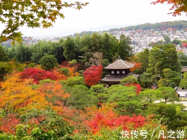 寺院|2021年11月京都红叶观赏信息