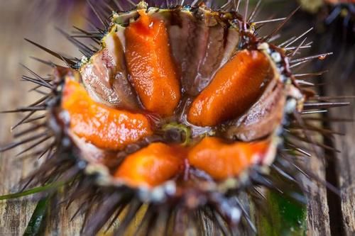 血脂高的老人,建议常吃这3种“食物”或有助稳定血脂,不妨了解