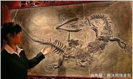 龙的原型究竟是何种生物？有可能是这种生活在两亿年前的生物