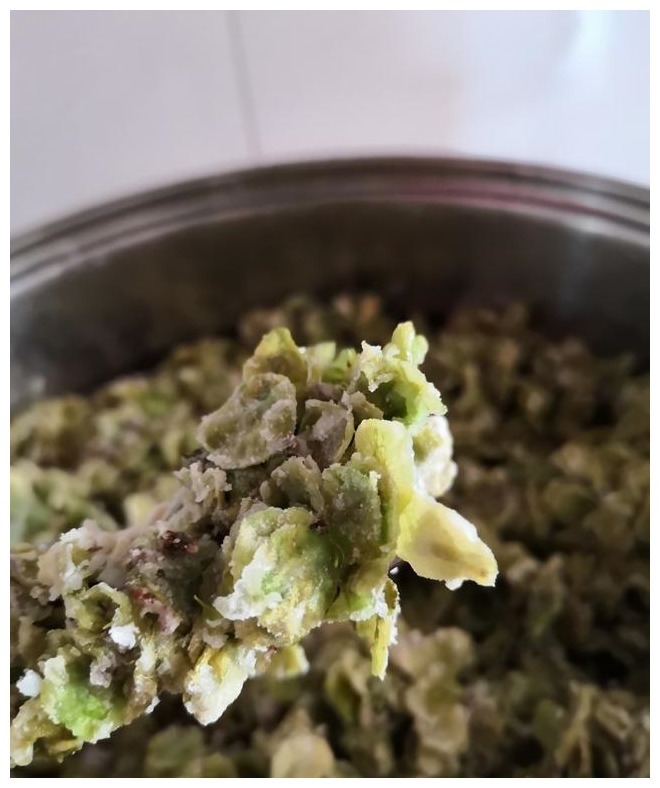 春天难得的一种野菜，过去白送不爱吃，如今10元1斤难买到