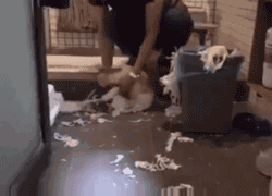 |搞笑GIF: 下次记得关门 要是突然有人进来那就尴尬了