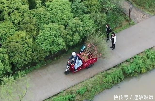 三个人 《向往5》变成了“享受生活”,三个人栽一棵树,只因为一只鸡