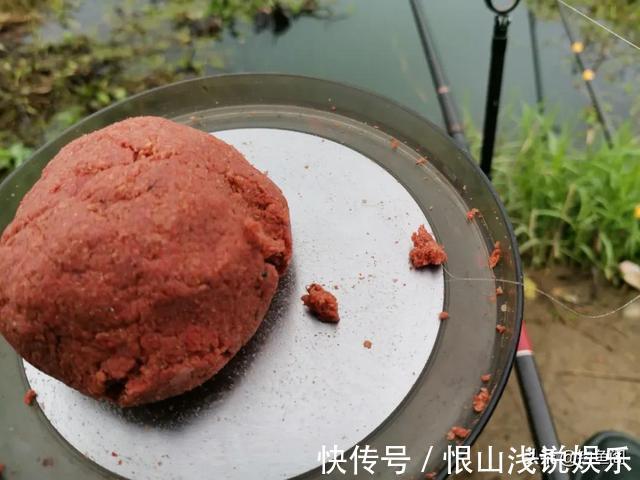 红虫颗粒的另类用法,这样加工一下再打窝,鲫鱼进窝会更快