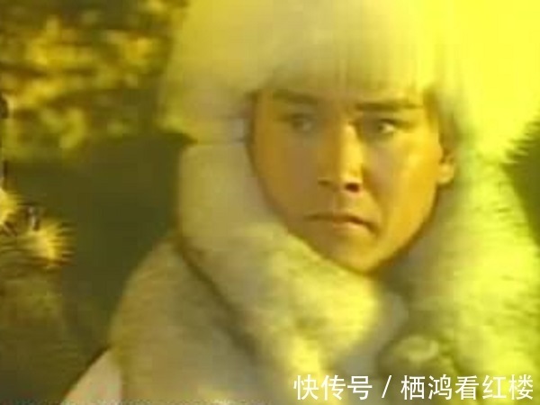 杀父真凶&胡斐为什么放着杀父真凶阎基不管,却追得凤天南满世界跑?