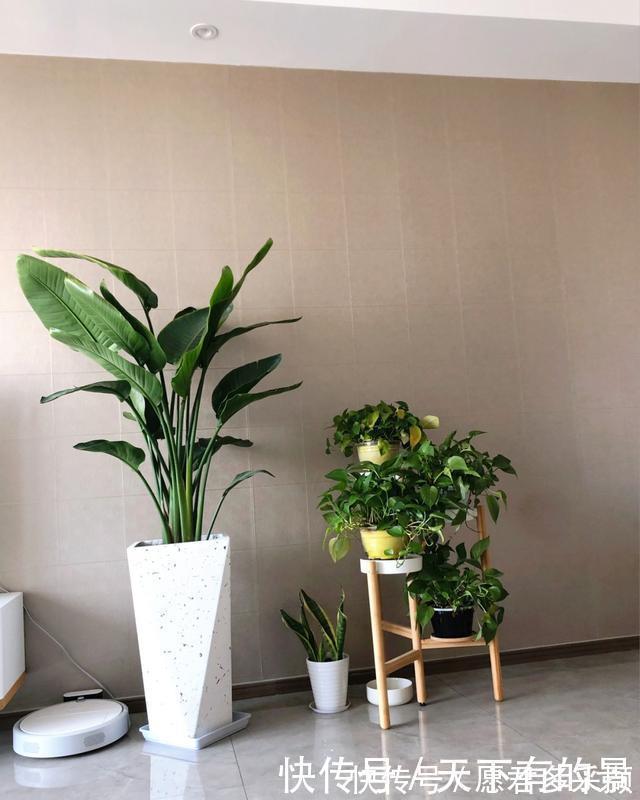 屋主|辛苦大半年终于乔迁新房，全屋很舒适，一家四口幸福新生活