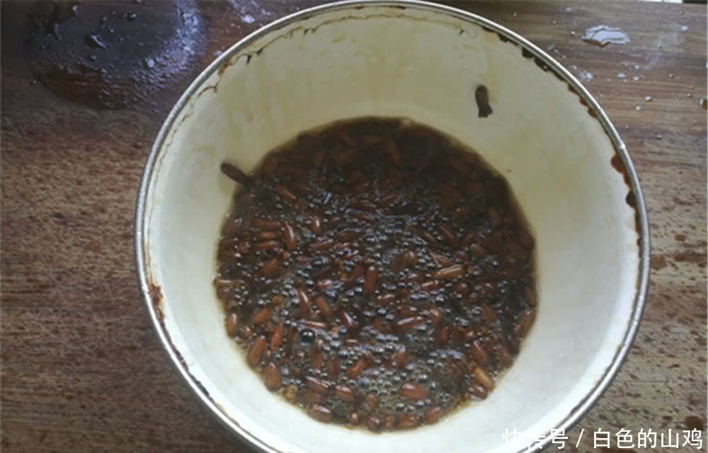 饵料|自制钓鱼“小药”，四季通用，做饵做窝必不可少，天然无污染！