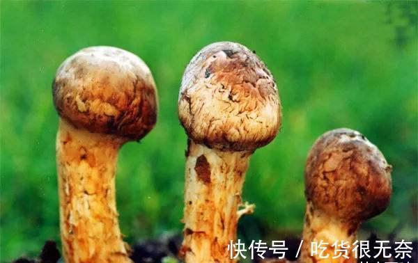 辣白菜|长白山十大特产，你都知道吗？