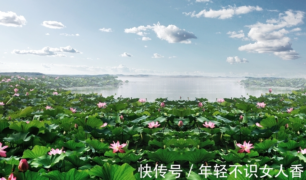 四季钓鱼技巧,春夏秋冬,每季钓鱼敲黑板要注意事项