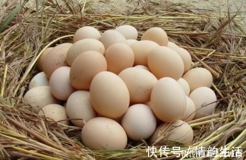 鞣酸|早上吃一个鸡蛋的人,身体不会差,但切忌与一物同食,告诉身边人