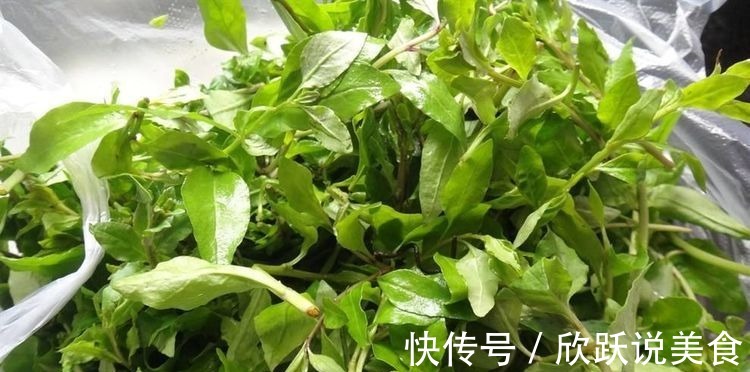 番茄|想长寿先排毒,不妨多吃3种食物,美容养颜、滋润肌肤!